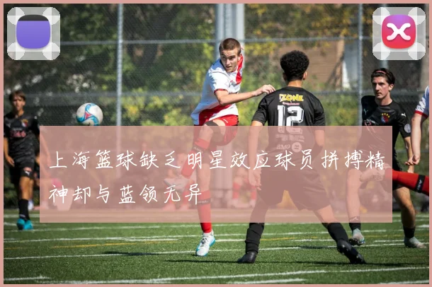 上海篮球缺乏明星效应球员拼搏精神却与蓝领无异